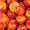 Nectarines jaunes ou blanches