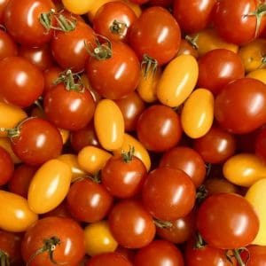 Tomates cerises mélangées jaunes et rouges allongées rondes 500g