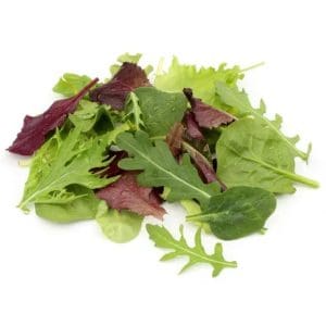 Mesclun jeunes pousses bio les 200g
