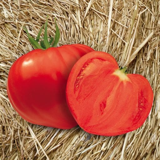 tomates cat 01 Tomates catégorie 1 1kg