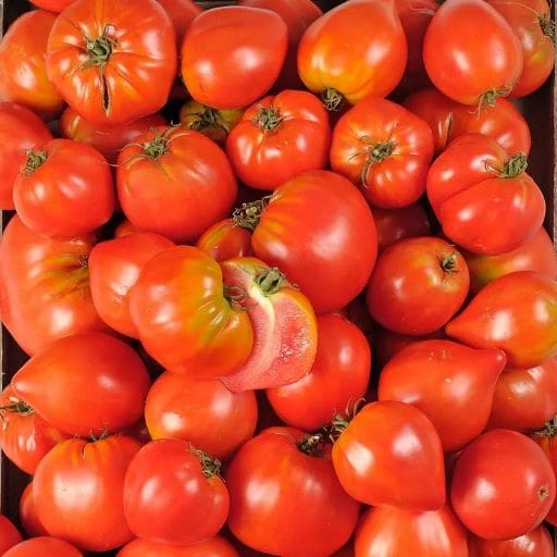 Tomates déclassées 1kg